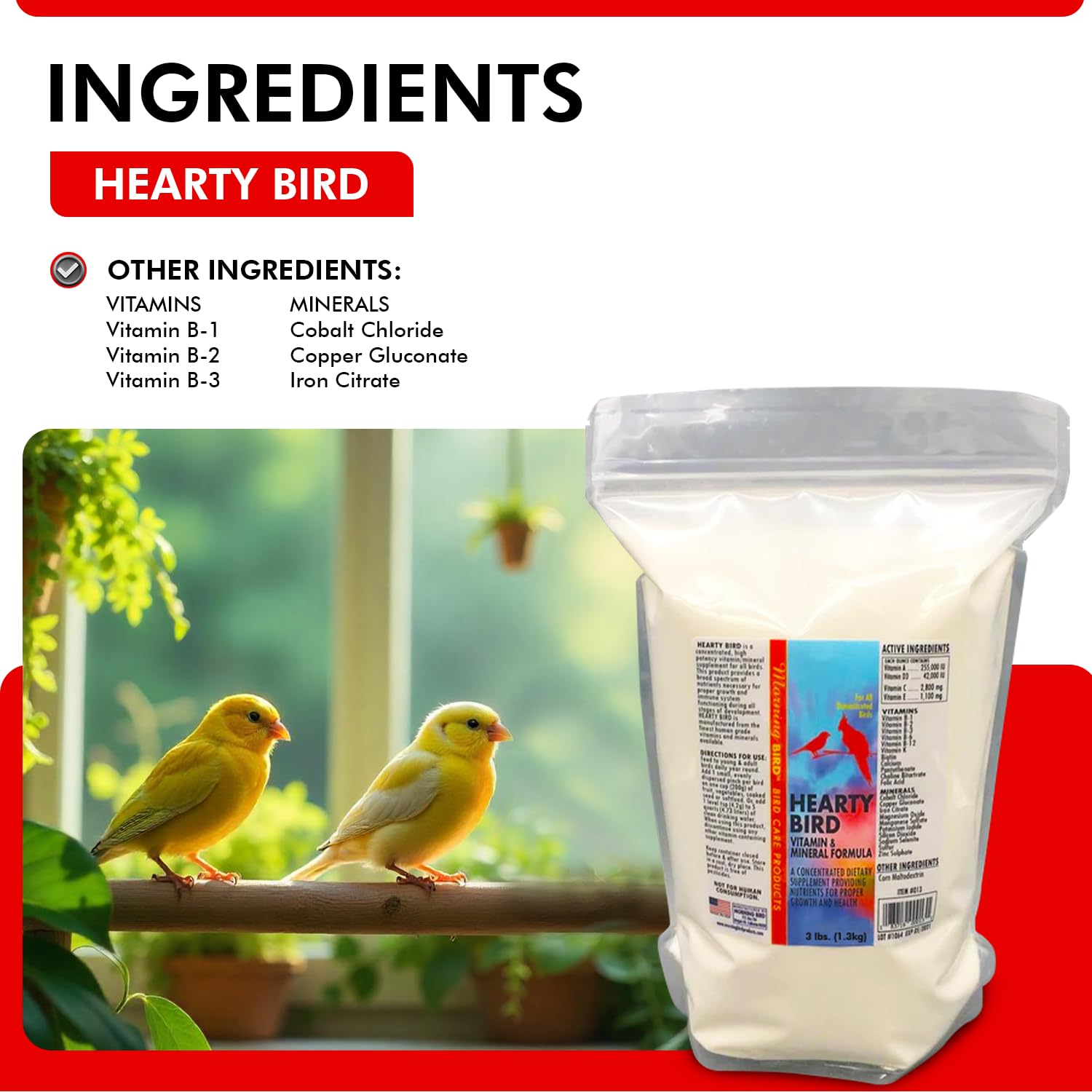 Morning Bird Hearty Bird 3 lbs - Daily Multivitamin Powder for Birds - Energy Support with Immune Booster & Wellness - Protein S